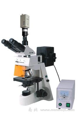 BM-19AYC电脑型荧光显微镜