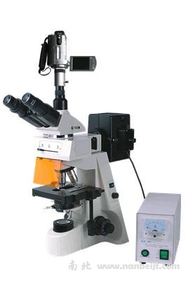 BM-19AYV摄像荧光显微镜